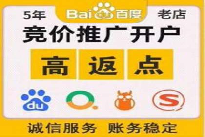 SEM代理服务在某企业的应用实践